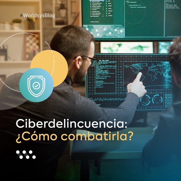 Ciberdelincuencia: ¿Cómo combatirla?